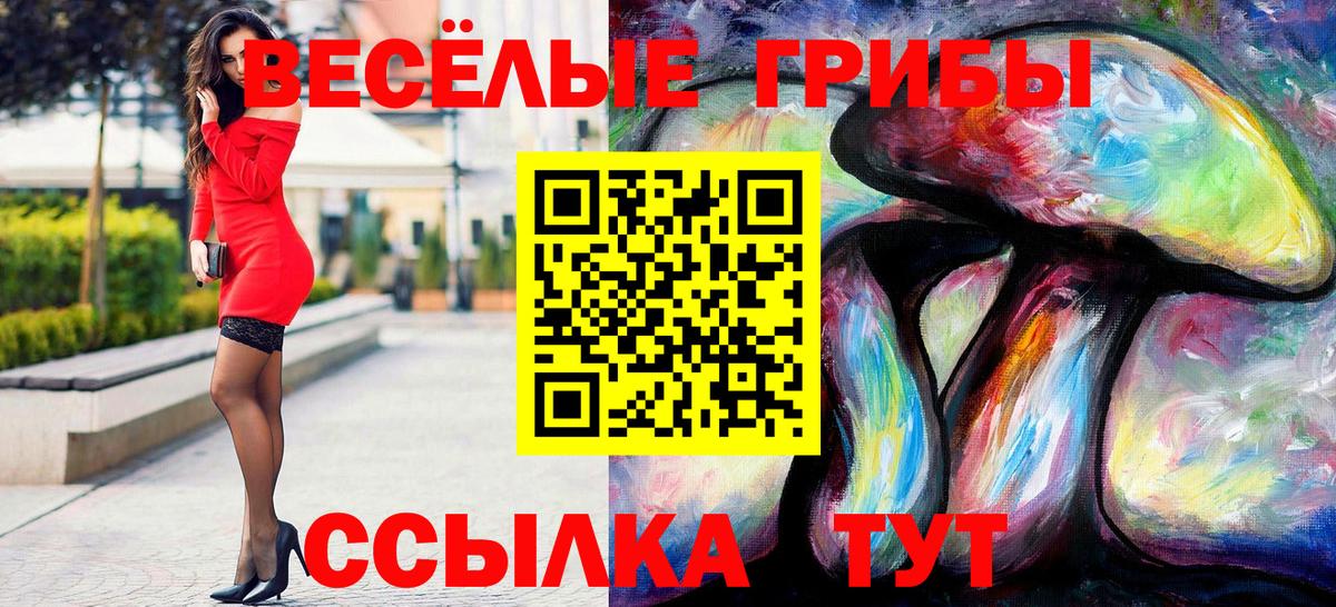 Псилоцибиновые грибы мицелий  Вход с VPN  Донской 